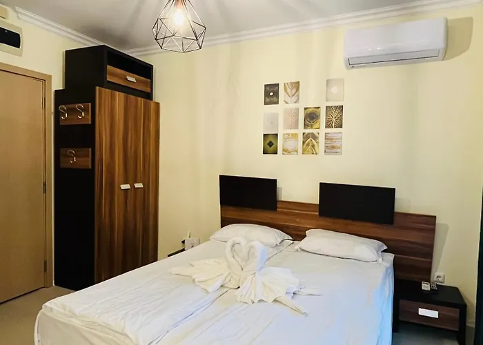 Rainbow 3-103 Cozy Sunny Daire *