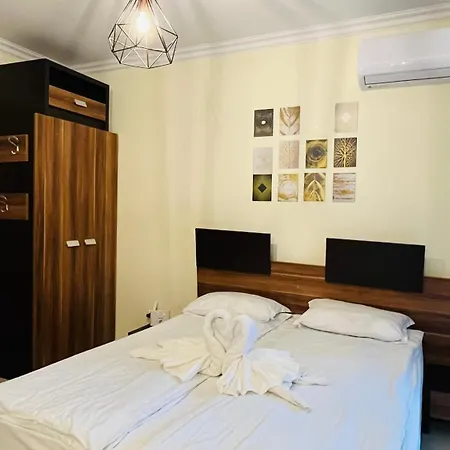 Rainbow 3-103 Cozy Sunny Daire *