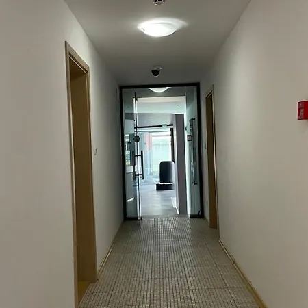 Rainbow 3-103 Cozy Sunny *